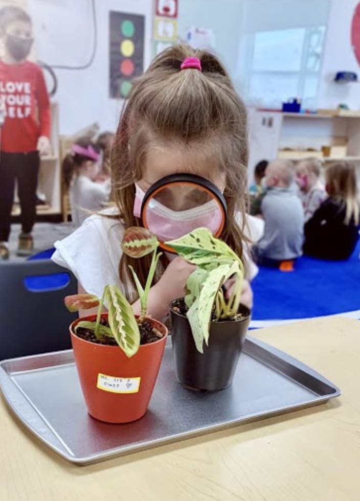 What Is Project-Based Learning? A Simple Guide for Parents